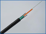 Central Loose Tube Armored Outdoor Cable(GJYXFY)